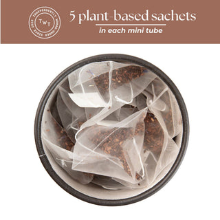 Tea With Tae Honella Honeybush Herbal Mini Tea Tube Gift (5 tea bags)